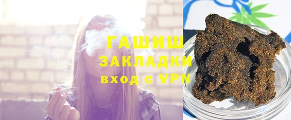 гидра Богородск