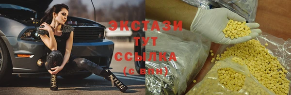 гидра Богородск