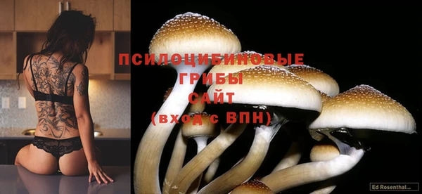 jwh Богданович