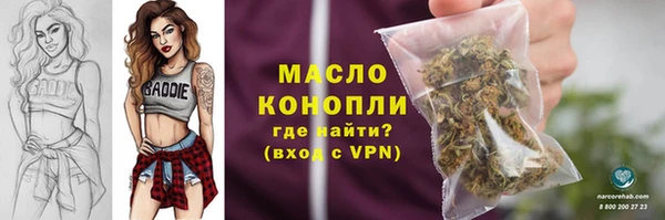 гидра Богородск