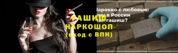гидра Богородск