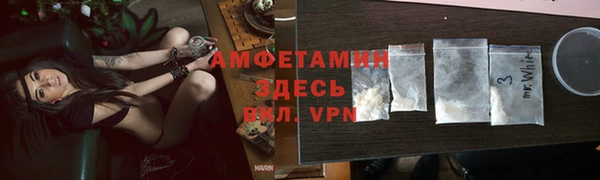 гидра Богородск