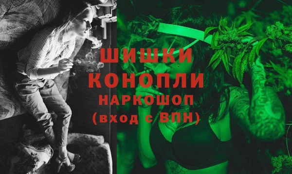 сатива Богородицк