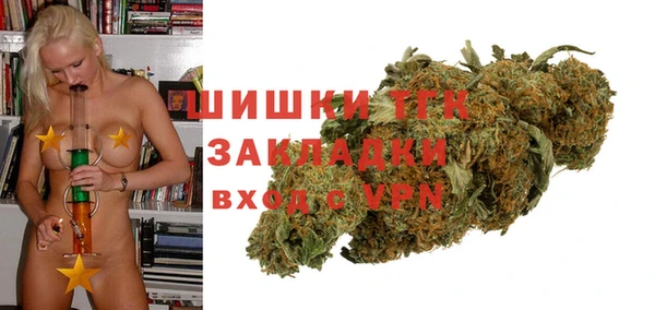 сатива Богородицк