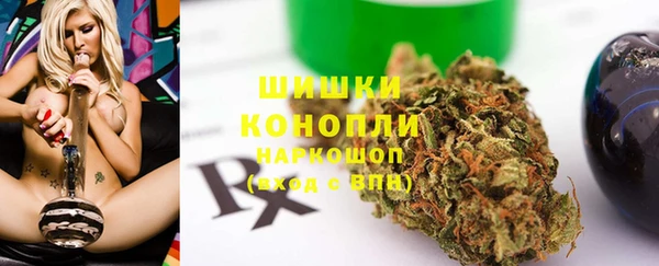 гидра Богородск
