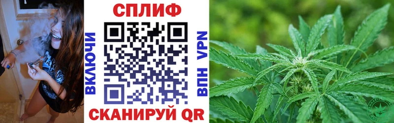 Бошки Шишки Bruce Banner  купить наркоту  Болотное 
